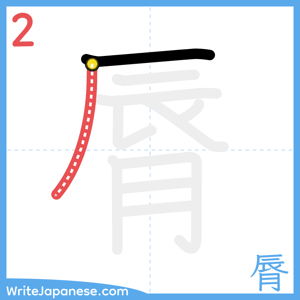 How to write "脣" - stroke 2