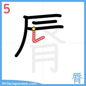 How to write "脣" - stroke 5