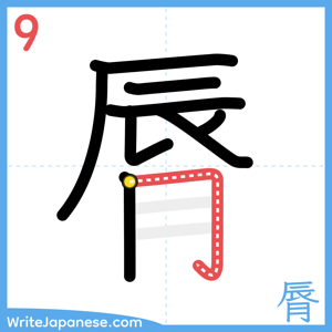 How to write "脣" - stroke 9