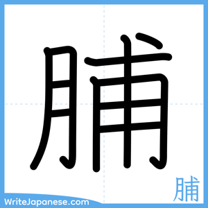How to write "脯" - complete stroke order