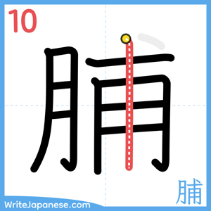 How to write "脯" - stroke 10