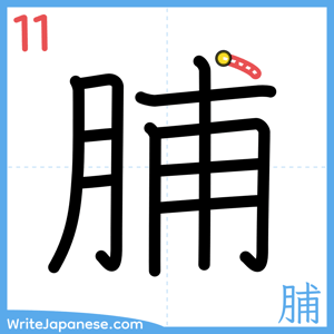 How to write "脯" - stroke 11
