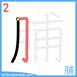 How to write "脯" - stroke 2