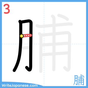 How to write "脯" - stroke 3