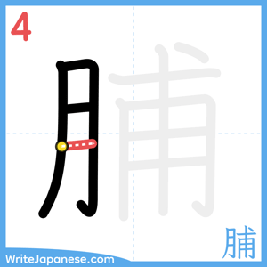 How to write "脯" - stroke 4