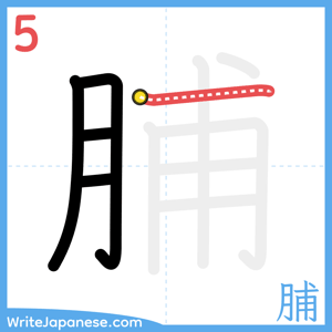 How to write "脯" - stroke 5