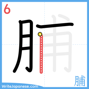 How to write "脯" - stroke 6