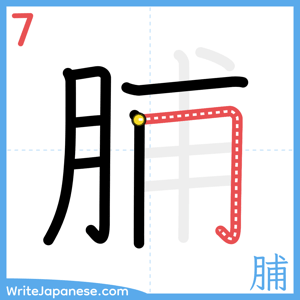 How to write "脯" - stroke 7