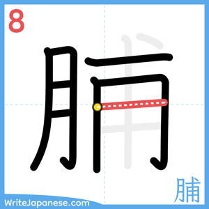 How to write "脯" - stroke 8