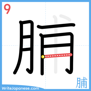 How to write "脯" - stroke 9