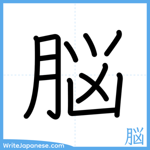 How to write "脳" - complete stroke order