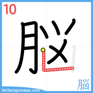 How to write "脳" - stroke 10
