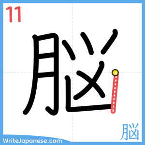 How to write "脳" - stroke 11