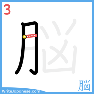 How to write "脳" - stroke 3