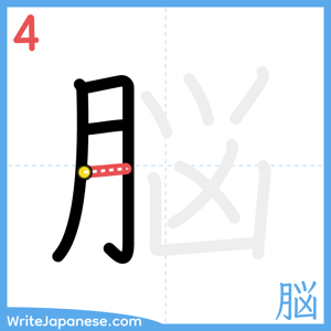 How to write "脳" - stroke 4