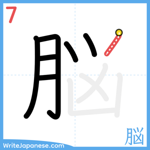 How to write "脳" - stroke 7