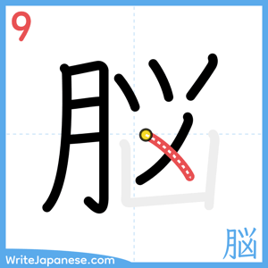 How to write "脳" - stroke 9