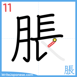 How to write "脹" - stroke 11