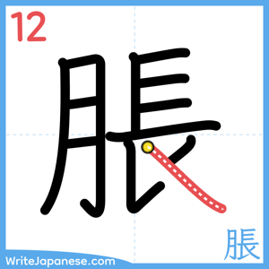 How to write "脹" - stroke 12