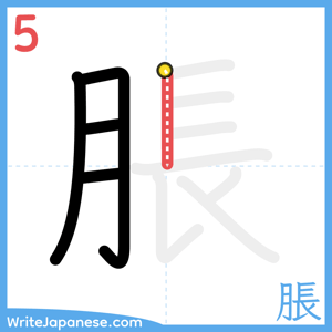 How to write "脹" - stroke 5