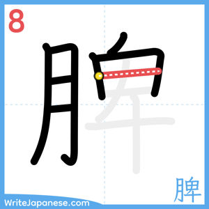 How to write "脾" - stroke 8