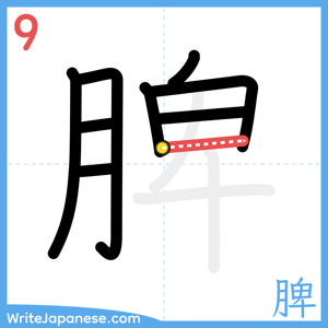 How to write "脾" - stroke 9