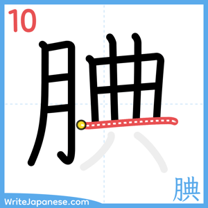 How to write "腆" - stroke 10