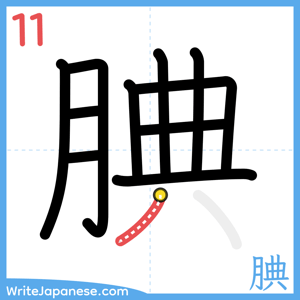 How to write "腆" - stroke 11