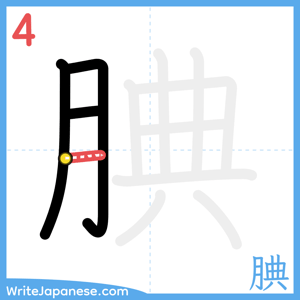How to write "腆" - stroke 4
