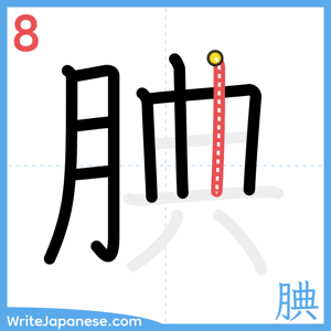 How to write "腆" - stroke 8