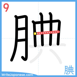 How to write "腆" - stroke 9