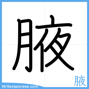 How to write "腋" - complete stroke order