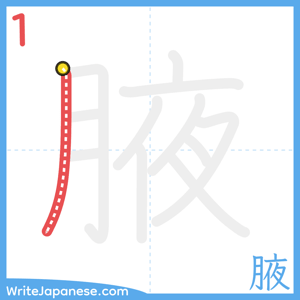 How to write "腋" - stroke 1