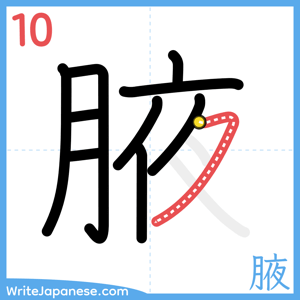 How to write "腋" - stroke 10