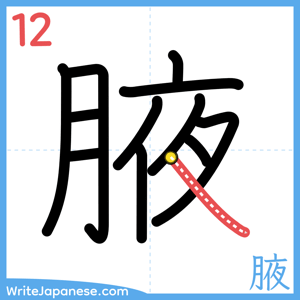 How to write "腋" - stroke 12