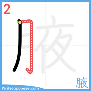 How to write "腋" - stroke 2