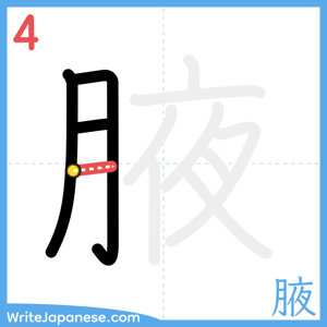 How to write "腋" - stroke 4