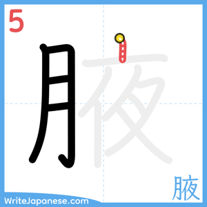 How to write "腋" - stroke 5