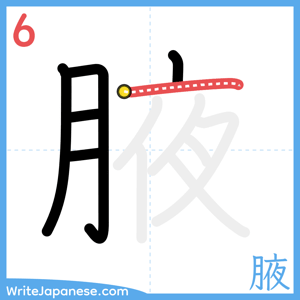 How to write "腋" - stroke 6