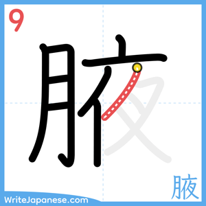 How to write "腋" - stroke 9