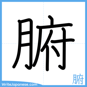 How to write "腑" - complete stroke order