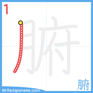 How to write "腑" - stroke 1