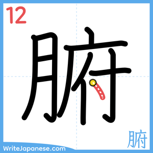 How to write "腑" - stroke 12