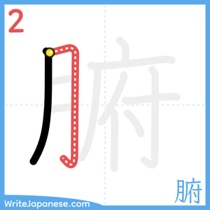 How to write "腑" - stroke 2