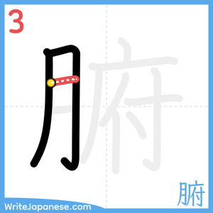 How to write "腑" - stroke 3
