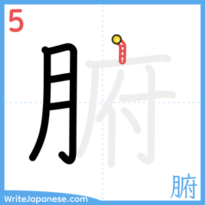 How to write "腑" - stroke 5