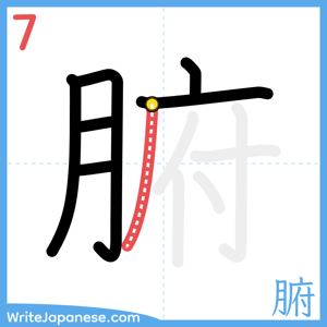 How to write "腑" - stroke 7