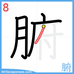 How to write "腑" - stroke 8