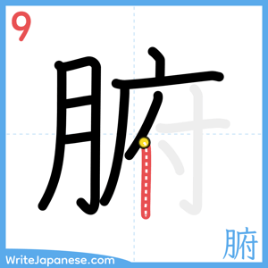 How to write "腑" - stroke 9