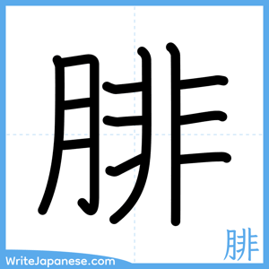 How to write "腓" - complete stroke order